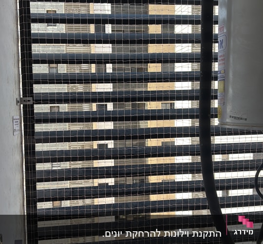 רשת למניעת כניסת יונים על חלון בניין